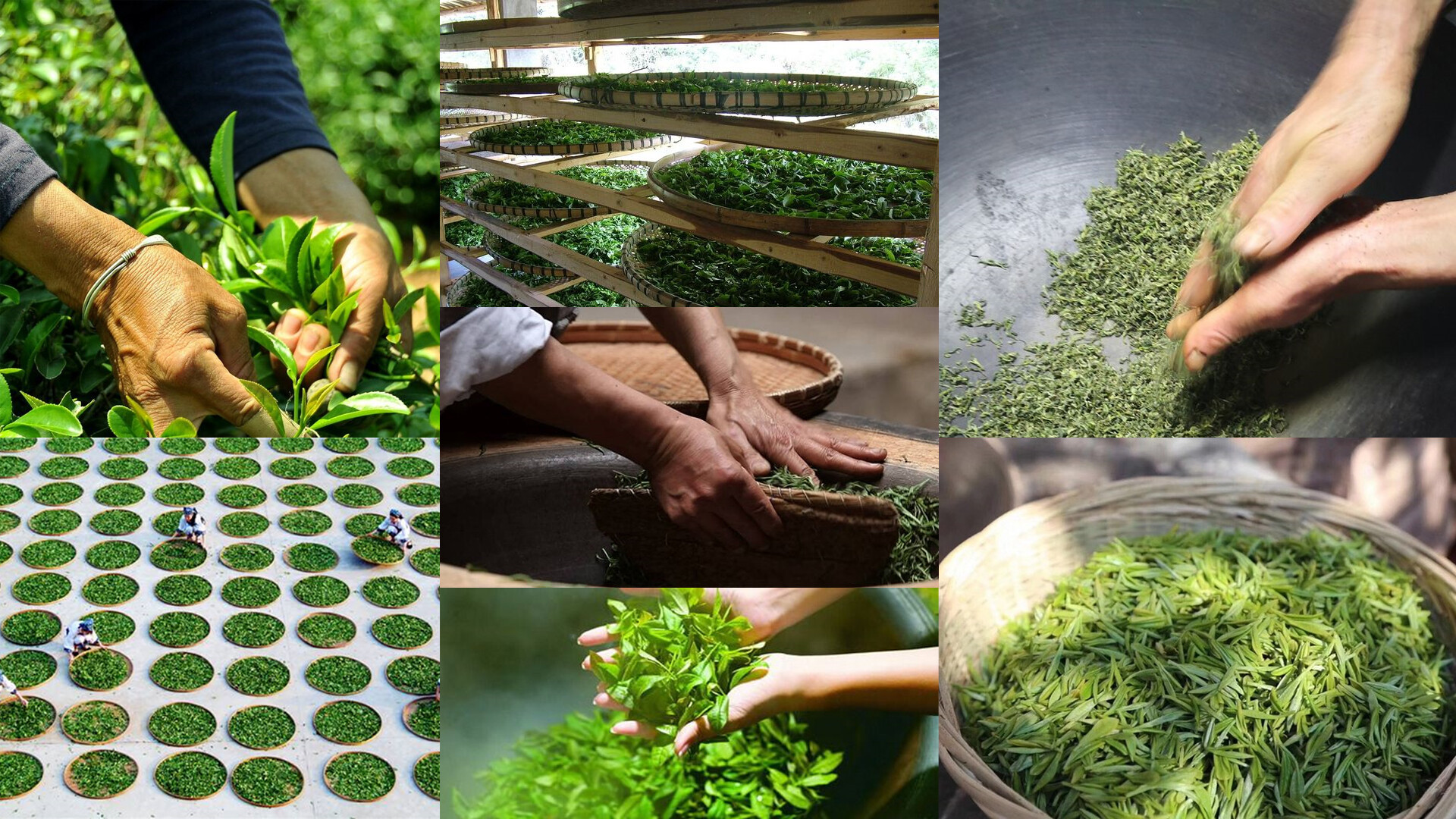 商业空间设计-中国茶叶年轻化升级