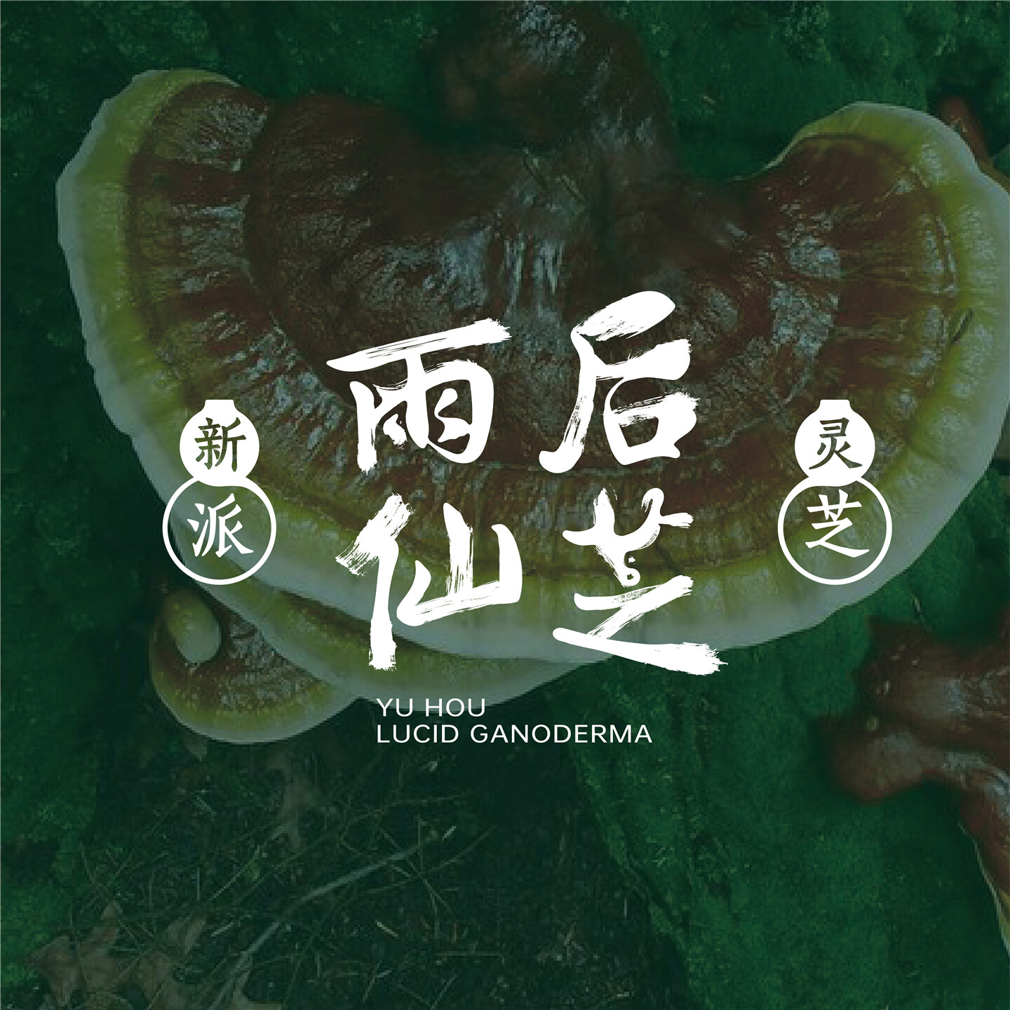 产品迭代文化创意