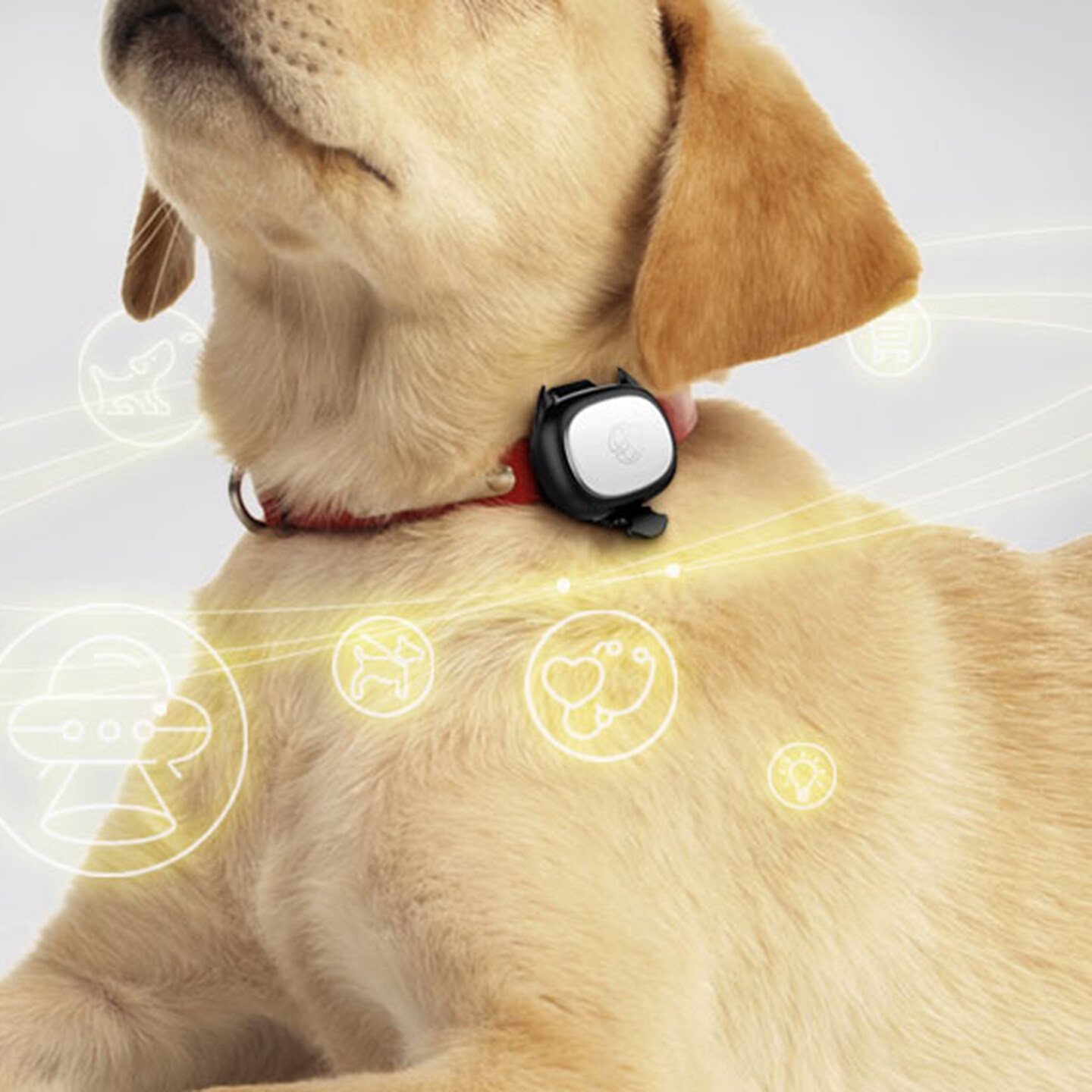 产品迭代文化创意