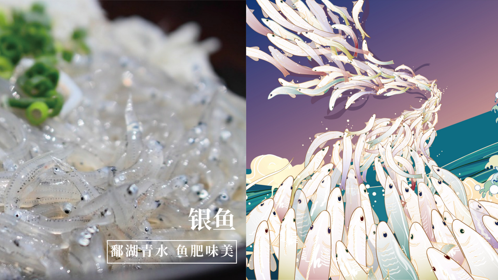 特色产品包装设计-绿滋肴特色产品包装设计