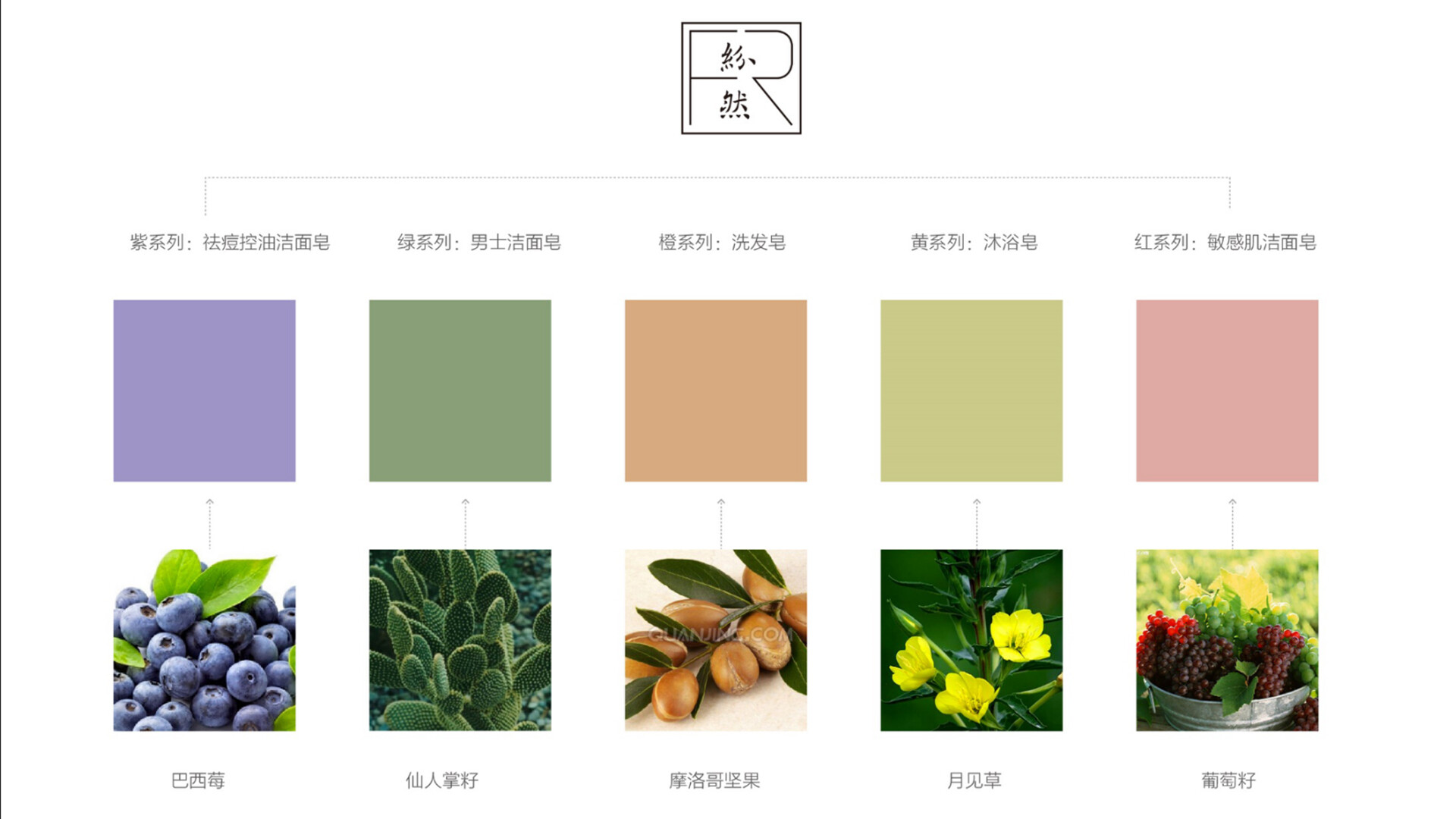 轻奢品牌视觉系统设计-“纷然”品牌视觉系统设计