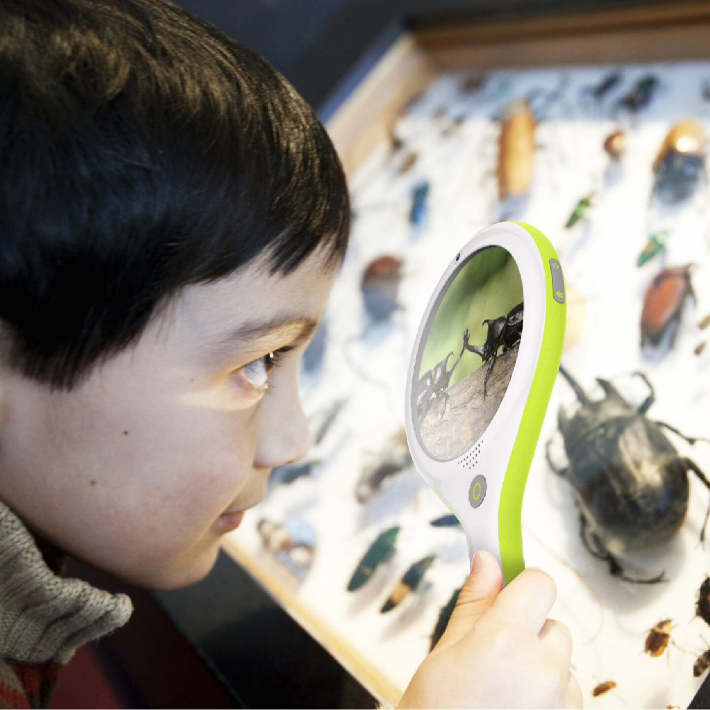 儿童早教放大镜设计-小熊尼奥AR早教放大镜