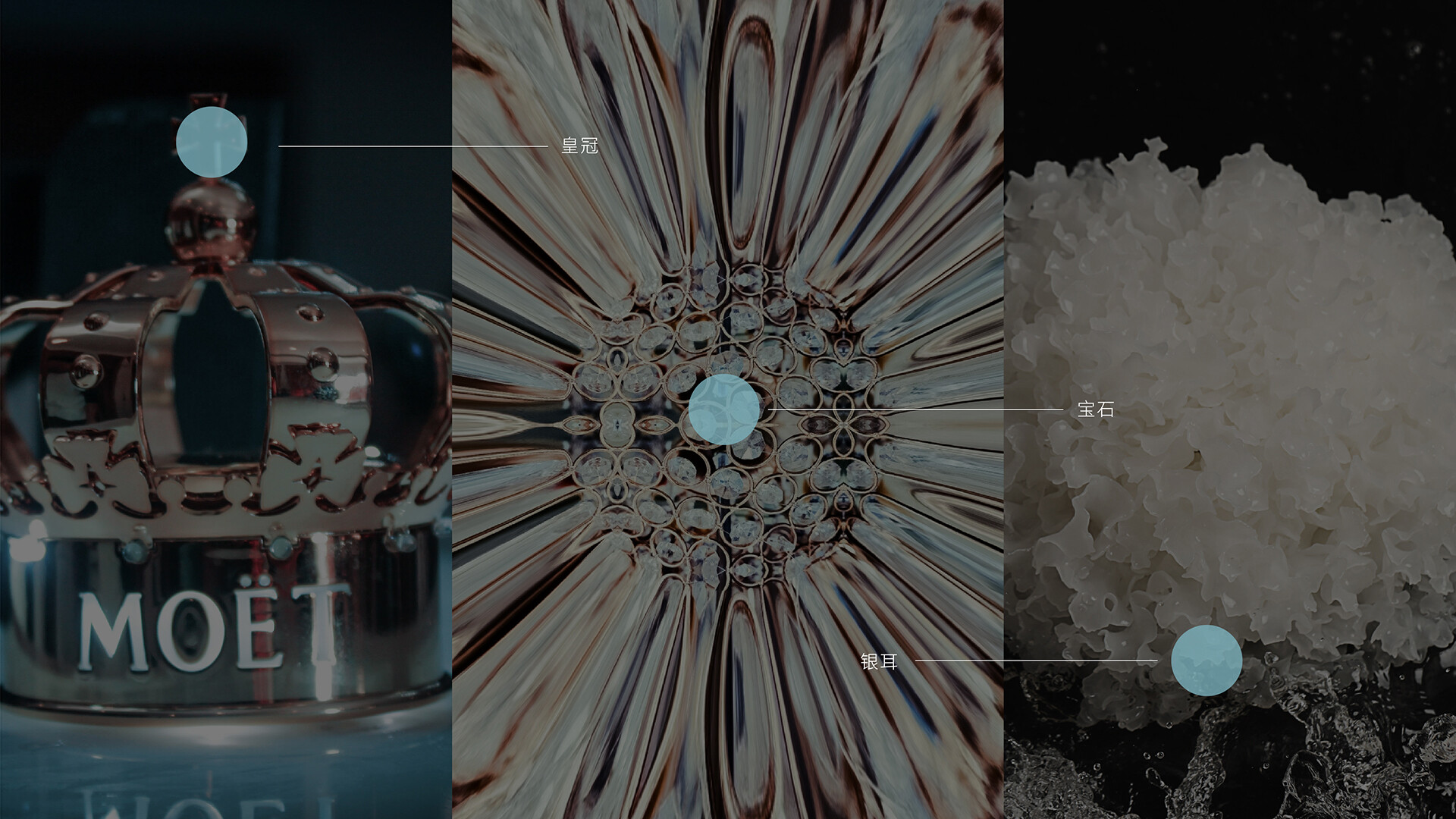 银耳品牌形象设计-金燕耳品牌形象设计