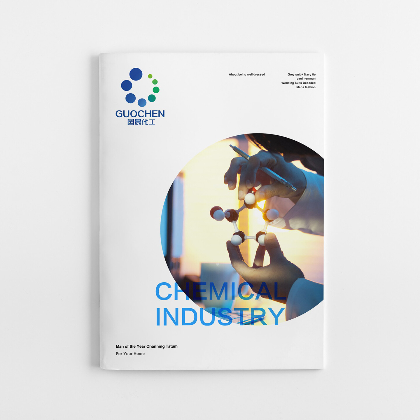 化工品牌标识设计-国晨化工品牌标识及VI设计