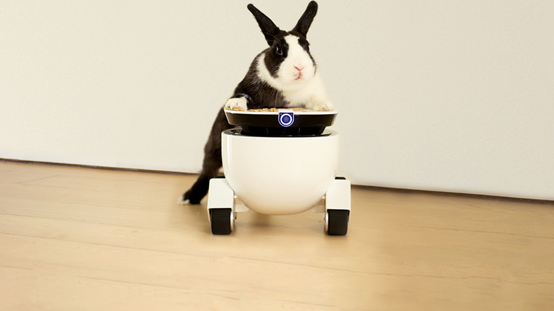 智能陪伴机器人设计-RoboMing Fellow智能陪伴机器人