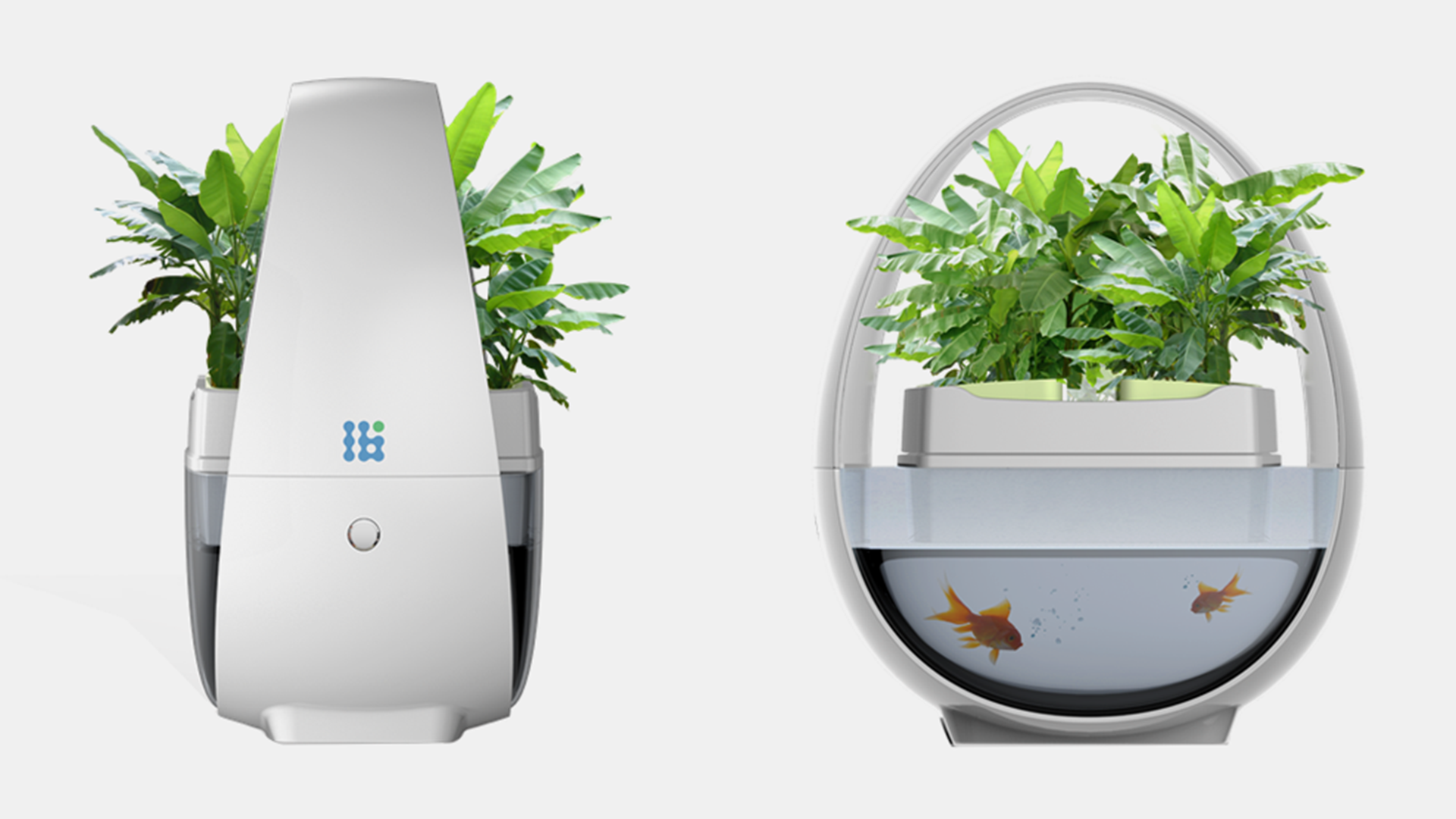 生态鱼缸设计-蓝布生态鱼缸设计