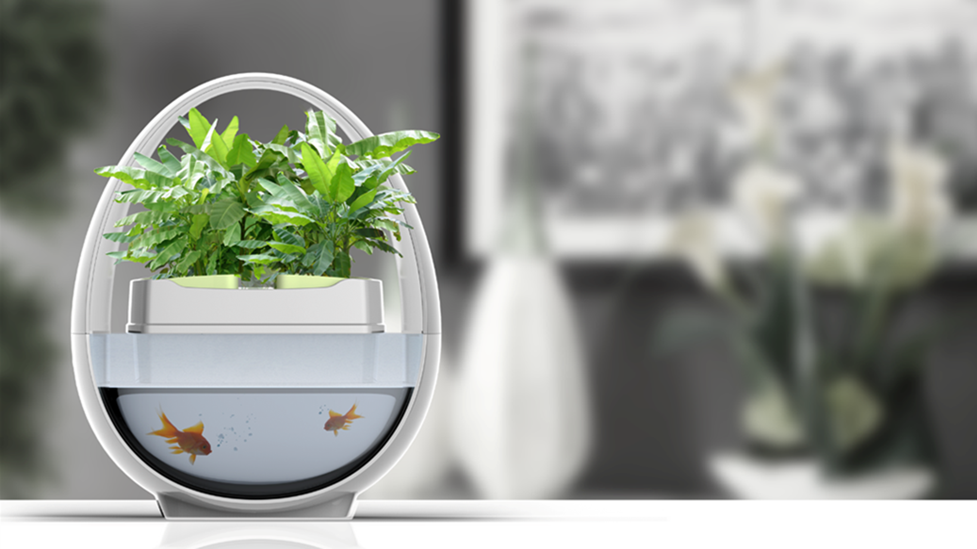 生态鱼缸设计-蓝布生态鱼缸设计