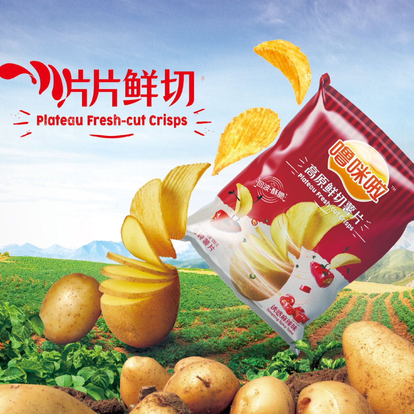 产品迭代文化创意