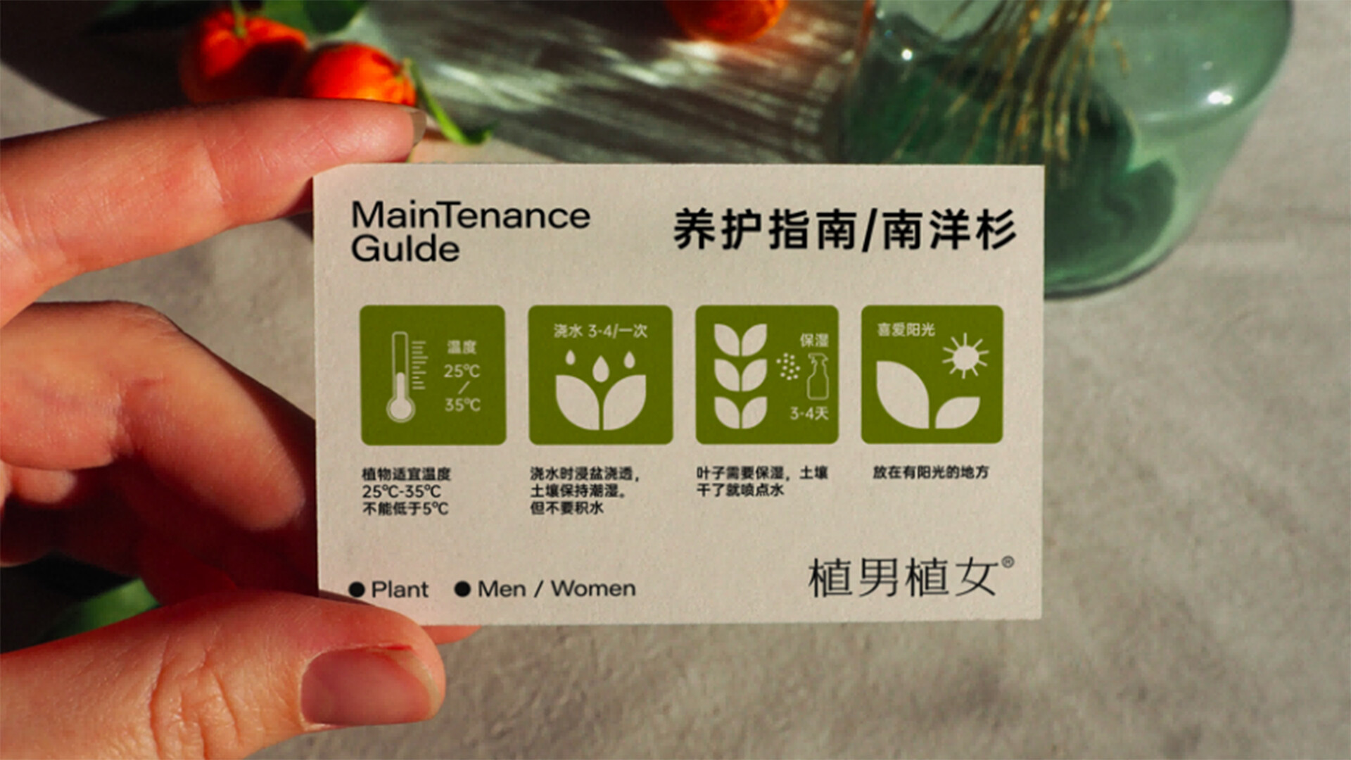 绿植产品品牌设计-植男植女全品牌绿植设计